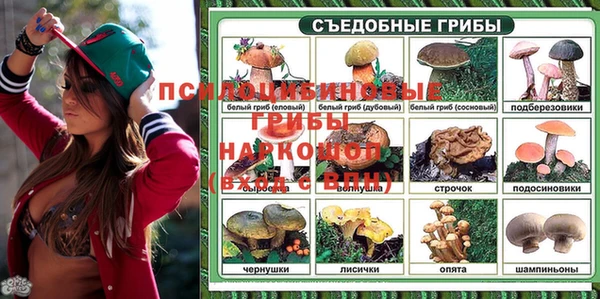 первитин Алексин