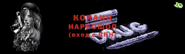гашик Алексеевка
