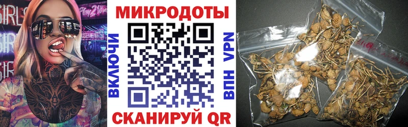 Псилоцибиновые грибы Magic Shrooms  Купить закладки  Кочубеевское 